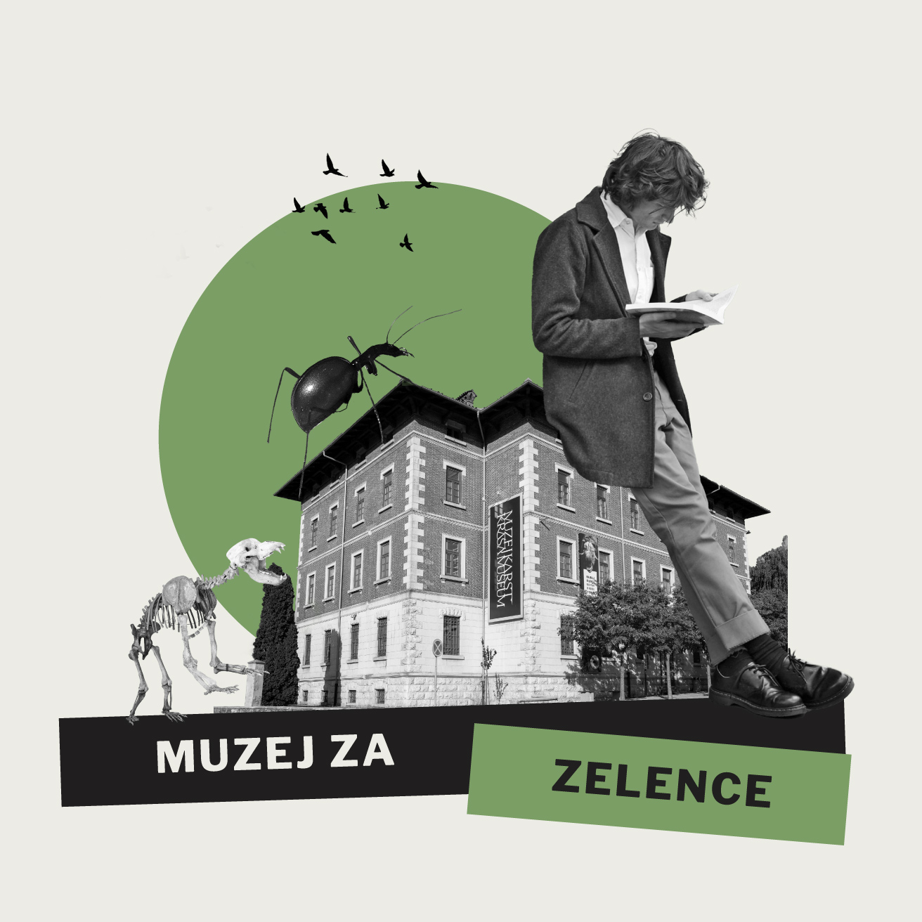 Museum for Rookies (Muzej za zelence) promo material (made by Buche design)